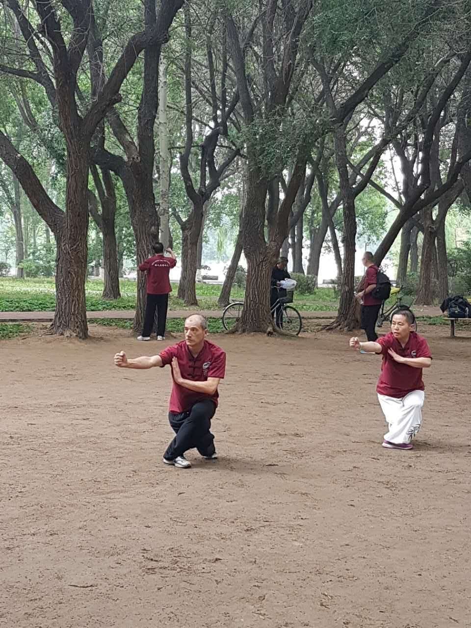Pratica di Taiji Quan in posizione bassa in un parco in Cina
