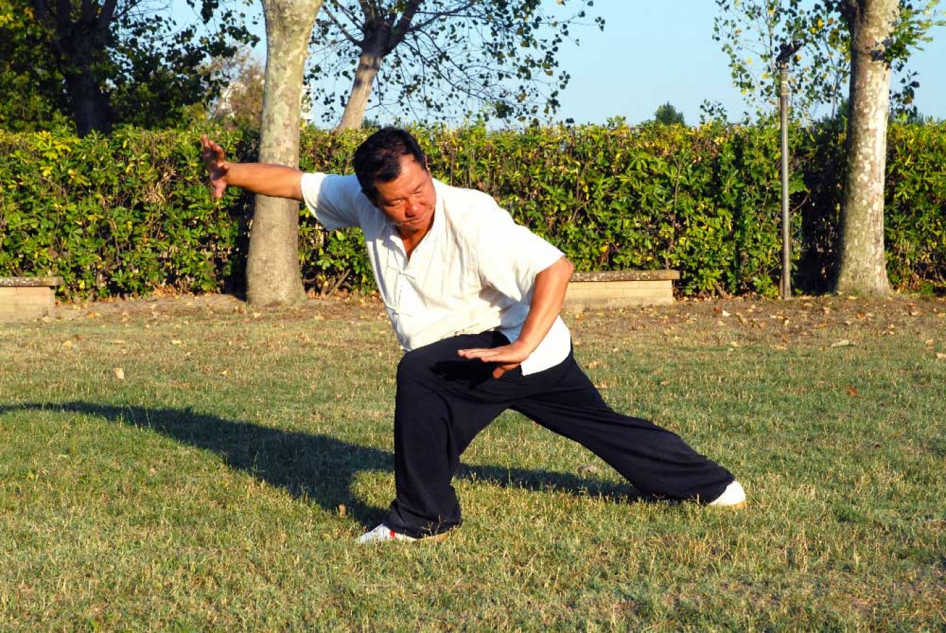 Il G.M° Yang Lin Sheng, 40° discendente del generale Yang Ji Ye, durante una pratica di Nei Jia Kung Fu