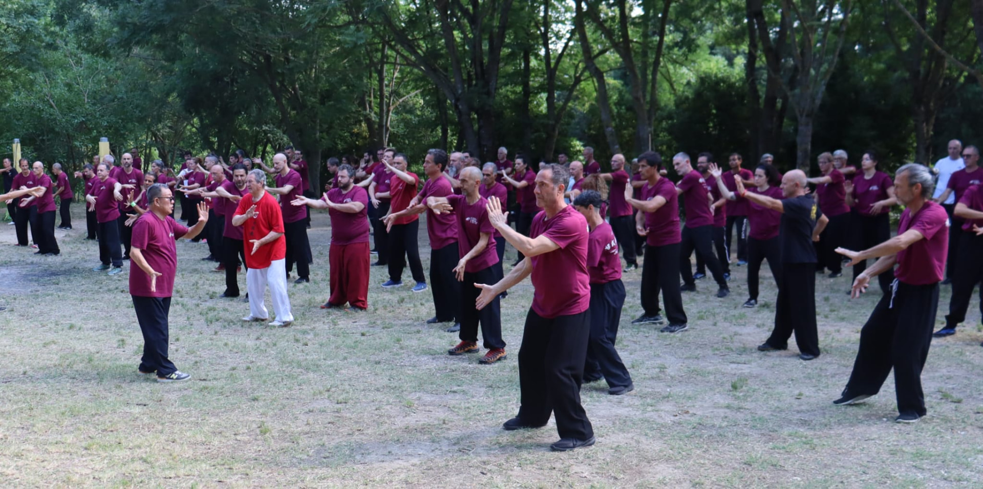 Pratica collettiva di Taiji Quan durante lo stage estivo nel parco