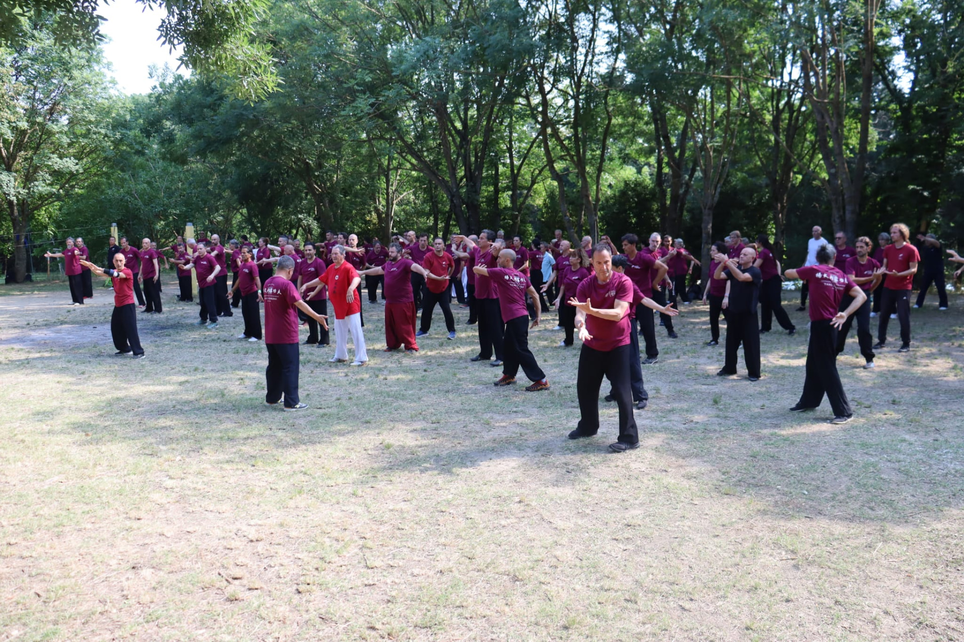 Gruppo di praticanti in forma durante lo stage all'aperto