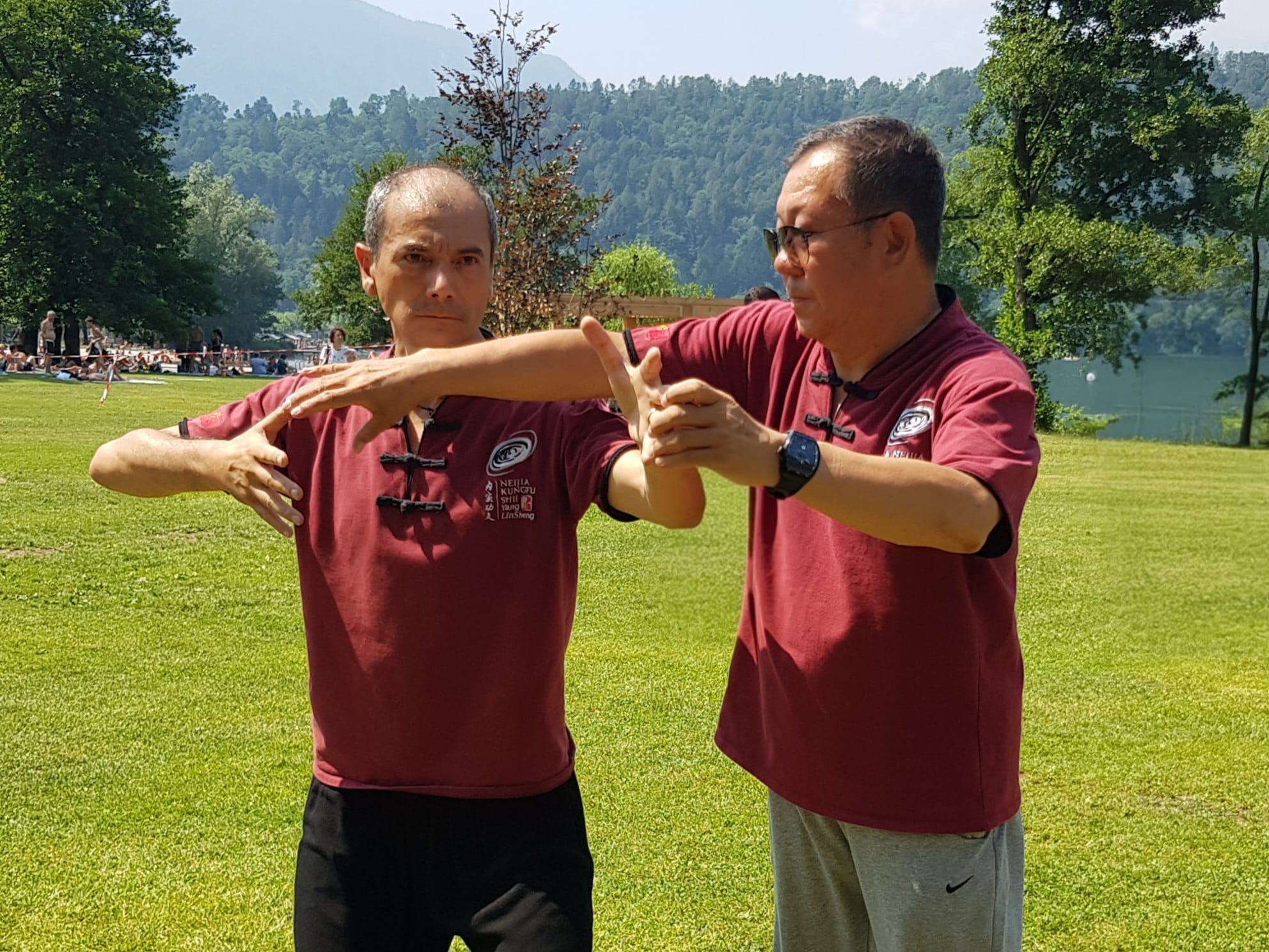 Tui Shou con il G.M° Yang Lin Sheng
