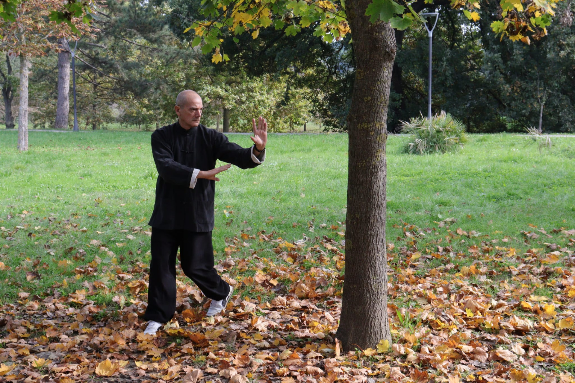 Posizione di guardia tra le foglie d’autunno