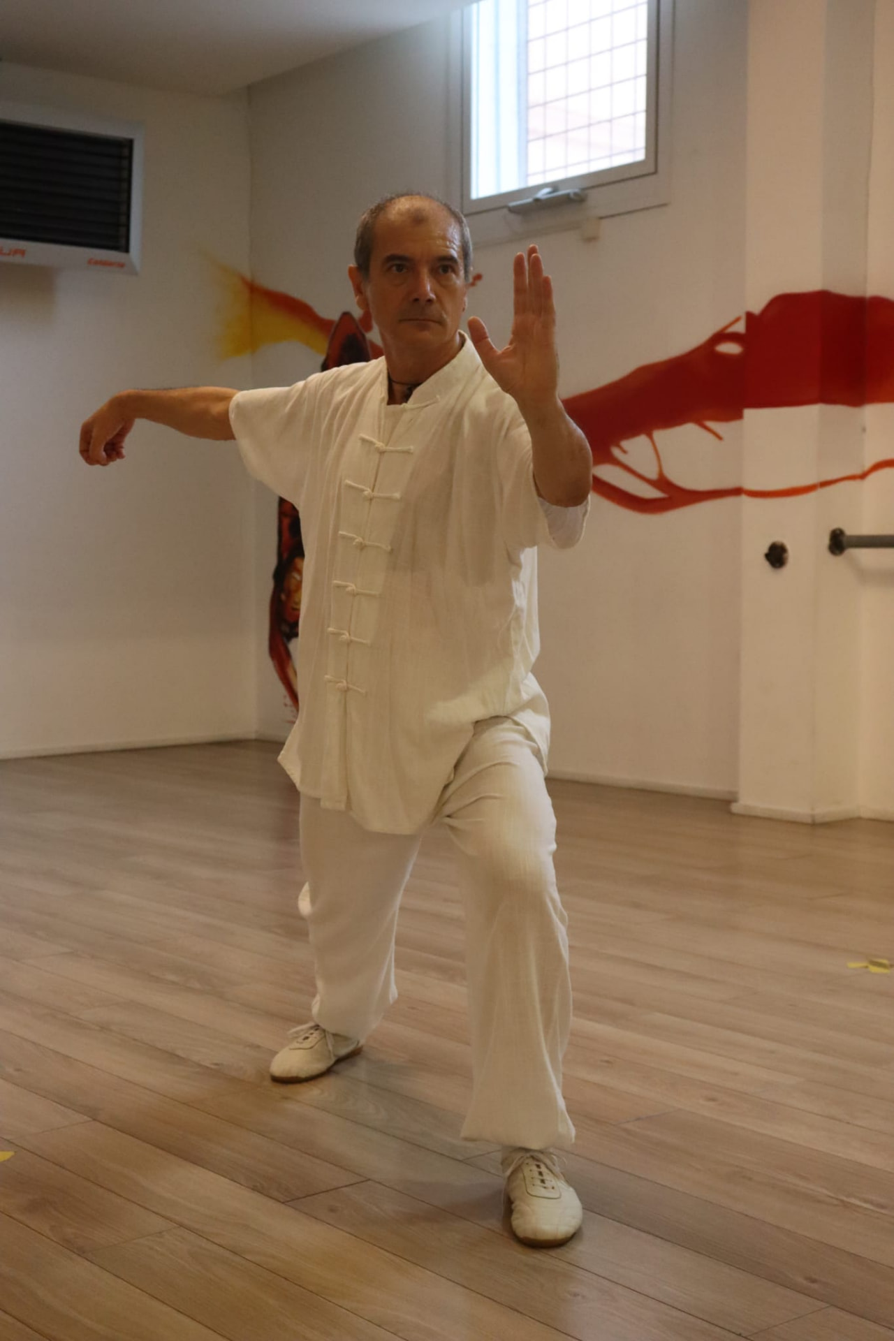 Il Maestro in guardia, sala dell’Accademia